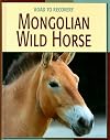 Mongolian Wild Horse (Road to Recovery)