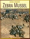 Zebra Mussel (Animal Invaders)