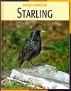 Starling (Animal Invaders)