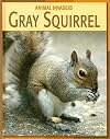 Gray Squirrel (Animal Invaders)