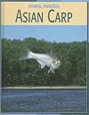 Asian Carp (Animal Invaders)