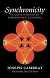 Synchronicity: Nature and Psyche in an Interconnected Universe (Carolyn and Ernest Fay Series in Analytical Psychology)