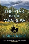 The Star in the Meadow (The Spanish Brand Series Book 4)