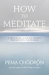 How to Meditate: A Practical Guide to Making Friends With Your Mind