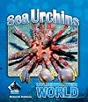 Sea Urchins (Buddy Books: Underwater World)