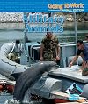 Military Animals (Buddy Books: Going to Work: Animal Edition)