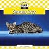 Safari Cats (Checkerboard Animal Library: Cats)