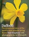 Daffodil: The remarkable story of the world's most popular spring flower