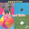 Big and Little (Concepts: Opposites)