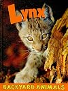 Lynx (Backyard Animals)