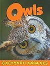 Owls (Backyard Animals)
