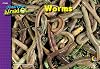 Worms, I Used To Be Afraid Of Series