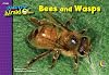 Bees and Wasps, I Used To Be Afraid Of Series