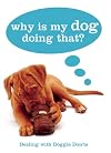 Why is my dog doing that?