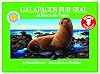 Galapagos Fur Seal