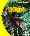 Okapi (Unusual Animals)