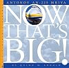 Antonov An-225 Mriya (Now That's Big)