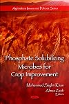 Phosphate solubilizing microbes for crop improvement