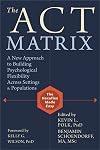 The ACT Matrix: A New Approach to Building Psychological Flexibility Across Settings and Populations