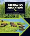 Buffalo Migration (Animal Migrations)