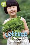 Lettuce Grows on the Ground (What Grows in My Garden)