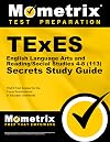 TExES English Language Arts and Reading/Social Studies 4-8 (113) Secrets Study Guide: TExES Test Review for the Texas Examinations of Educator Standards