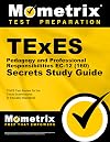 TExES Pedagogy and Professional Responsibilities EC-12 (160) Secrets Study Guide: TExES Test Review for the Texas Examinations of Educator Standards