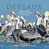 Deveaux: Deveaux Bank Seabird Sanctuary, South Carolina