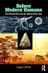 Before modern humans : new perspectives on the African Stone Age