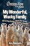 Chicken Soup for the Soul: My Wonderful, Wacky Family: 101 Loving Stories about Our Crazy, Quirky Families