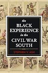 The Black Experience in the Civil War South