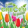 How Do Plants Grow? (My Science Library)