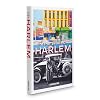 In the Spirit of Harlem (Icons)