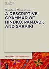 A Descriptive Grammar of Hindko, Panjabi, and Saraiki (Mouton-Casl Grammar)