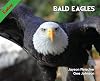Bald Eagles (Readlings)