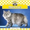 Manx Cats (Checkerboard Animal Library: Cats)