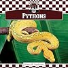 Pythons (Checkerboard Animal Library: Snakes)
