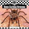 Bird-Eating Spiders (Checkerboard Animal Library: Spiders)