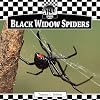 Black Widow Spiders (Checkerboard Animal Library: Spiders)
