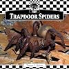 Trapdoor Spiders (Checkerboard Animal Library: Spiders)