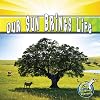 Our Sun Brings Life