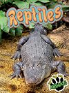 Reptiles