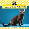 Havana Brown Cats (Checkerboard Animal Library: Cats)