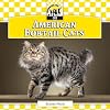 American Bobtail Cats (Checkerboard Animal Library: Cats)