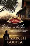 The Bird in the Tree