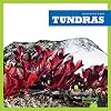 Tundras (Bullfrog Books: Ecosystems)
