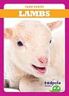 Lambs (Tadpole: Farm Babies)