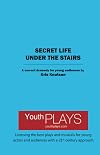 Secret Life Under the Stairs