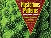 Mysterious Patterns: Finding Fractals in Nature