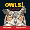 Owls!: Strange and Wonderful